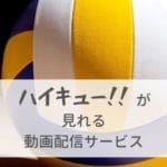 「ハイキュー!!」のアニメ・映画が見れる動画配信サービスまとめ！料金・特徴を比較