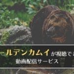 アニメ「ゴールデンカムイ」1期・2期が見られる動画配信サービスまとめ！