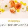 【君の花になる】ひどい・つまらない・面白くない4つの理由は？